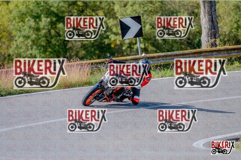 Chianti 12-10-25 h14-12 2690