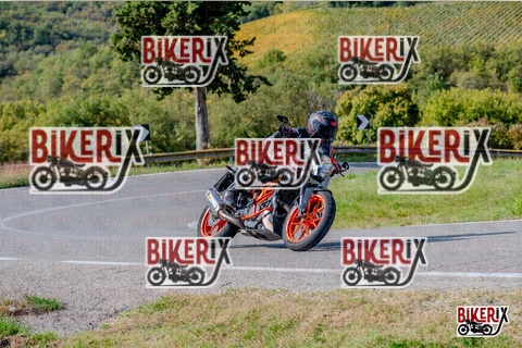 Chianti 12-10-25 h14-12 2696