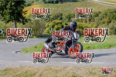 Chianti 12-10-25 h14-12 2697