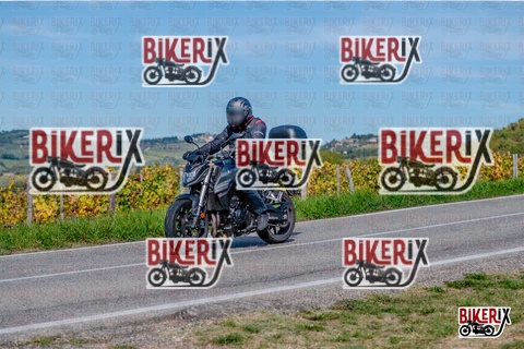 Chianti 12-10-25 h14-18 2762