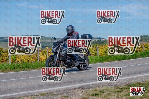 Chianti 12-10-25 h14-18 2763