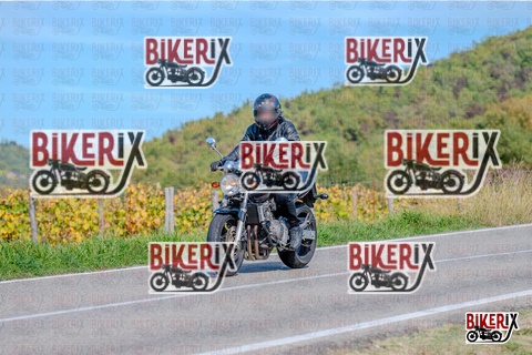 Chianti 12-10-25 h14-18 2769