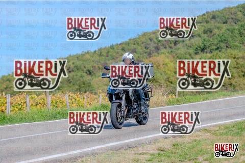 Chianti 12-10-25 h14-18 2806