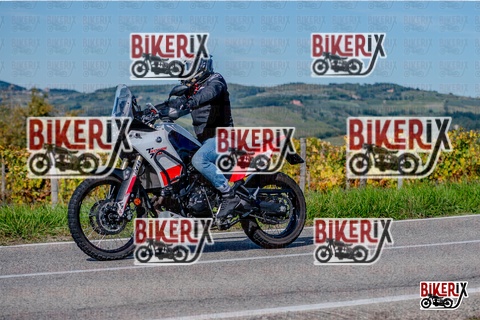 Chianti 12-10-25 h14-25 2860