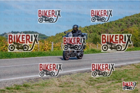 Chianti 12-10-25 h14-25 2864