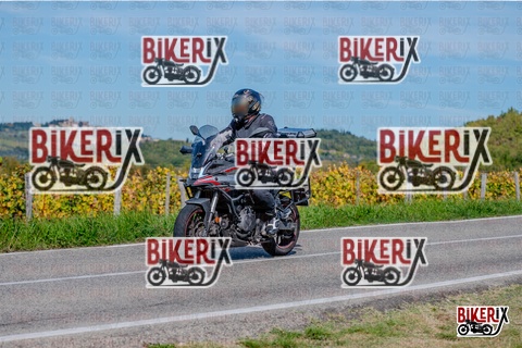 Chianti 12-10-25 h14-25 2865