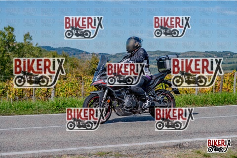 Chianti 12-10-25 h14-25 2868