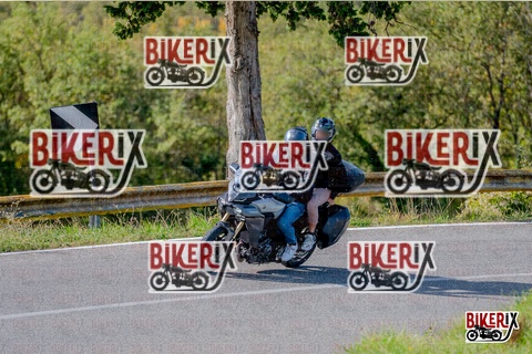 Chianti 12-10-25 h14-29 2894