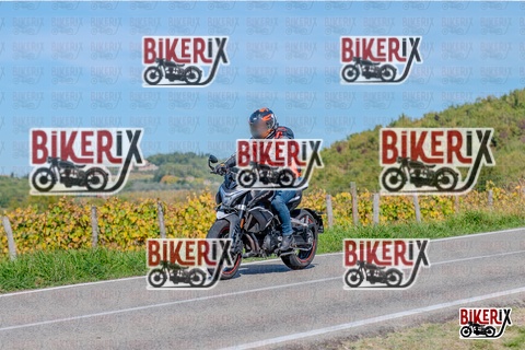 Chianti 12-10-25 h14-37 2965