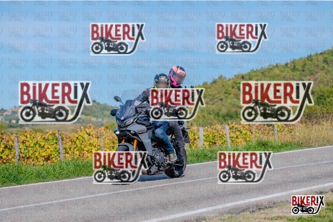 Chianti 12-10-25 h14-39 2973