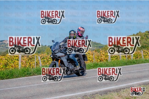 Chianti 12-10-25 h14-39 2975