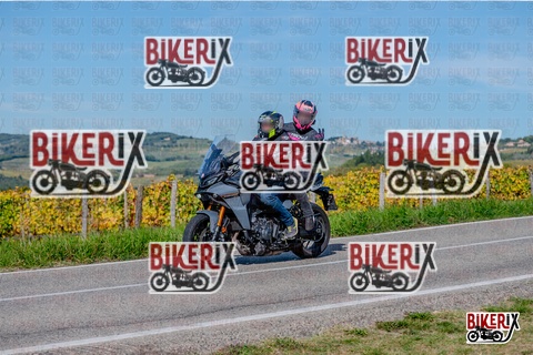 Chianti 12-10-25 h14-39 2978