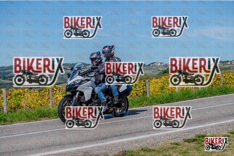 Chianti 12-10-25 h14-42 3034