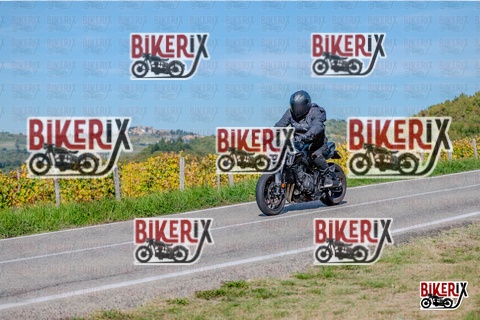 Chianti 12-10-25 h14-45 3053