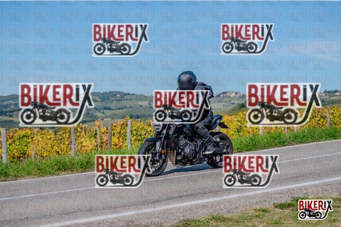 Chianti 12-10-25 h14-45 3054