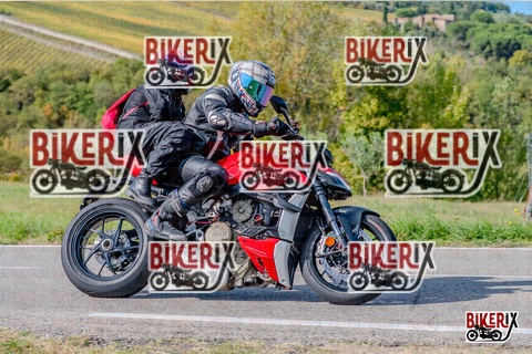 Chianti 12-10-25 h14-48 3084