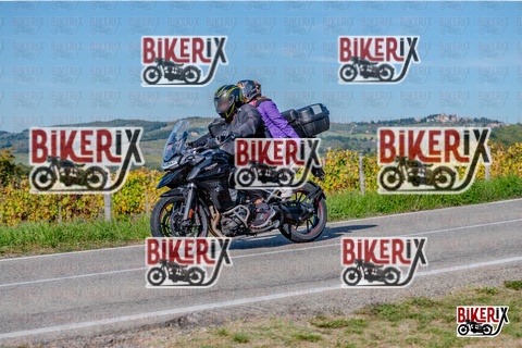 Chianti 12-10-25 h14-51 3138