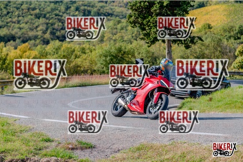 Chianti 12-10-25 h14-52 3153