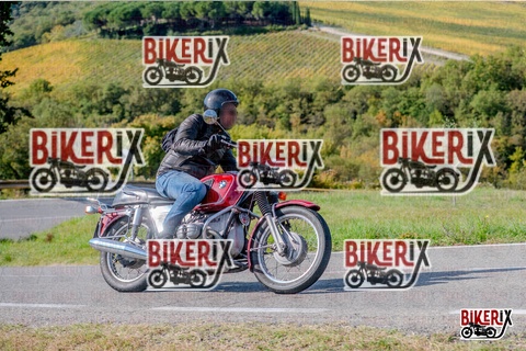 Chianti 12-10-25 h14-53 3159