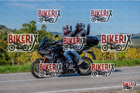 Chianti 12-10-25 h14-53 3171