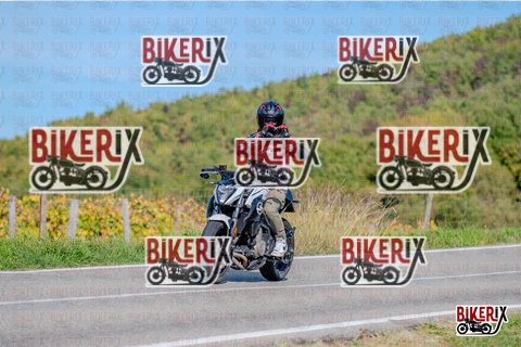 Chianti 12-10-25 h14-53 3175