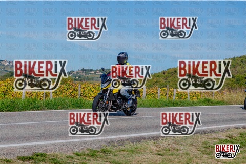 Chianti 12-10-25 h14-53 3176