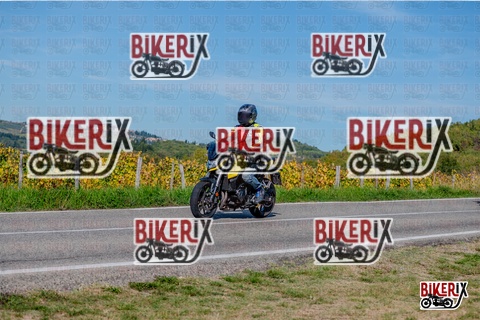 Chianti 12-10-25 h14-53 3177