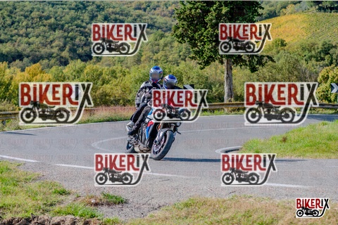 Chianti 12-10-25 h14-59 3210