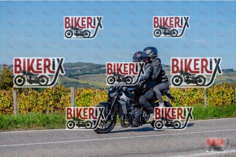 Chianti 12-10-25 h15-02 3237