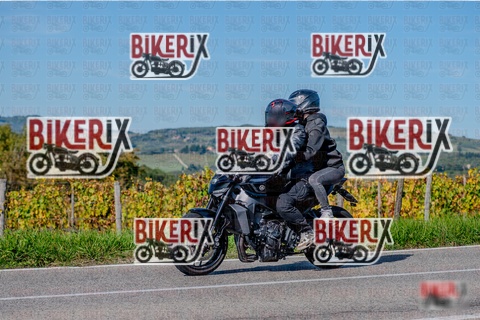 Chianti 12-10-25 h15-02 3238