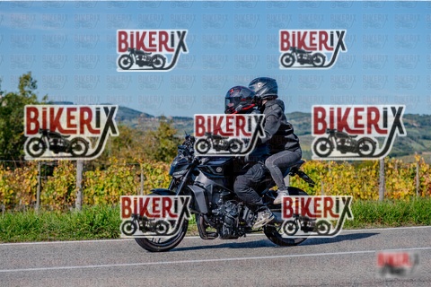 Chianti 12-10-25 h15-02 3239