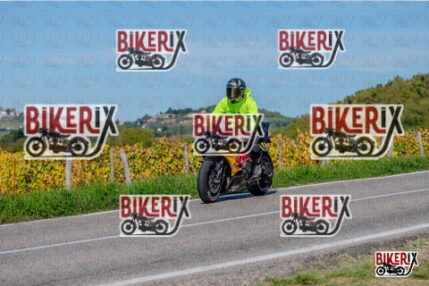 Chianti 12-10-25 h15-04 3254