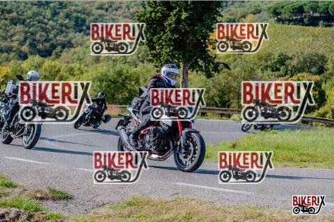 Chianti 12-10-25 h15-06 3269