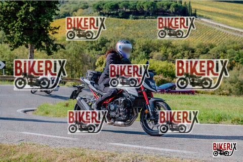 Chianti 12-10-25 h15-06 3273