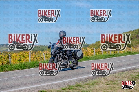 Chianti 12-10-25 h15-08 3281