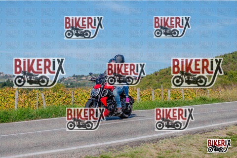 Chianti 12-10-25 h15-10 3315