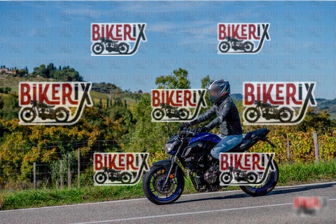 Chianti 12-10-25 h15-12 3334