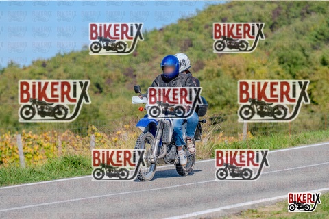 Chianti 12-10-25 h15-13 3350