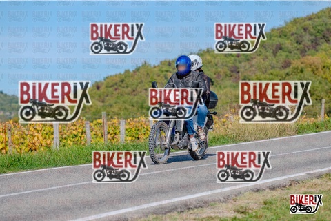 Chianti 12-10-25 h15-13 3351