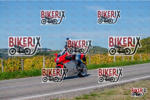 Chianti 12-10-25 h15-13 3355