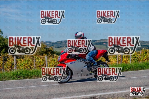 Chianti 12-10-25 h15-13 3358