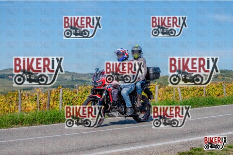 Chianti 12-10-25 h15-19 3405