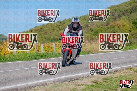 Chianti 12-10-25 h15-19 3416