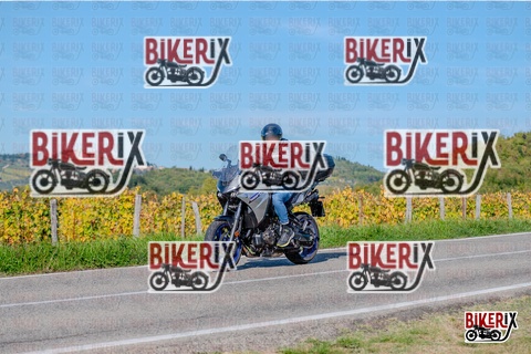 Chianti 12-10-25 h15-25 3462