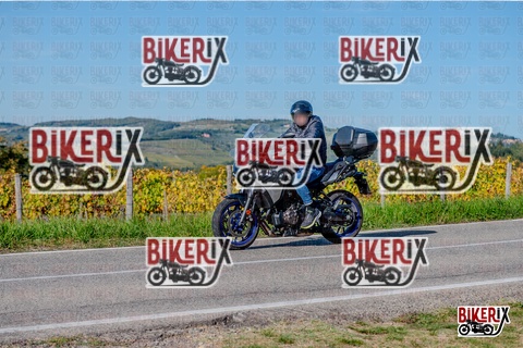 Chianti 12-10-25 h15-25 3464