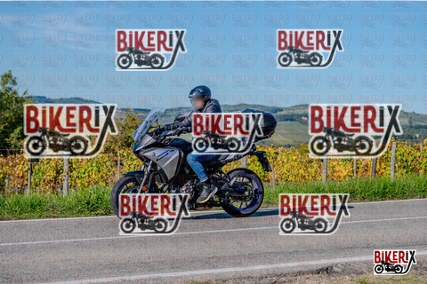 Chianti 12-10-25 h15-25 3466