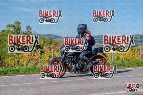 Chianti 12-10-25 h15-28 3508