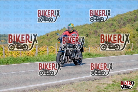 Chianti 12-10-25 h15-32 3534