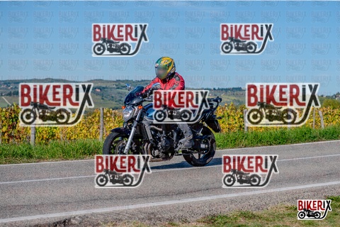 Chianti 12-10-25 h15-32 3537