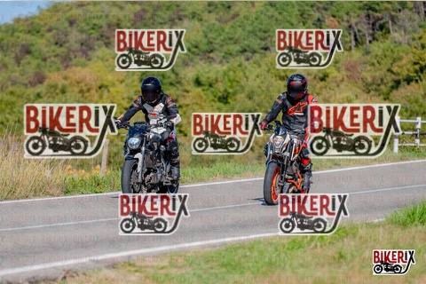 Chianti 12-10-25 h15-39 3611